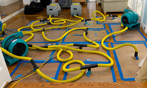 Professional Structural Drying And Dehumidification technician working in Mountain View, NC
