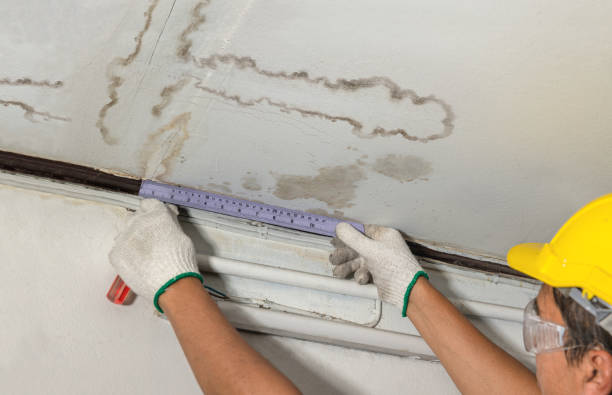 Affordable Water Damage Repair solutions in Mountain View, NC